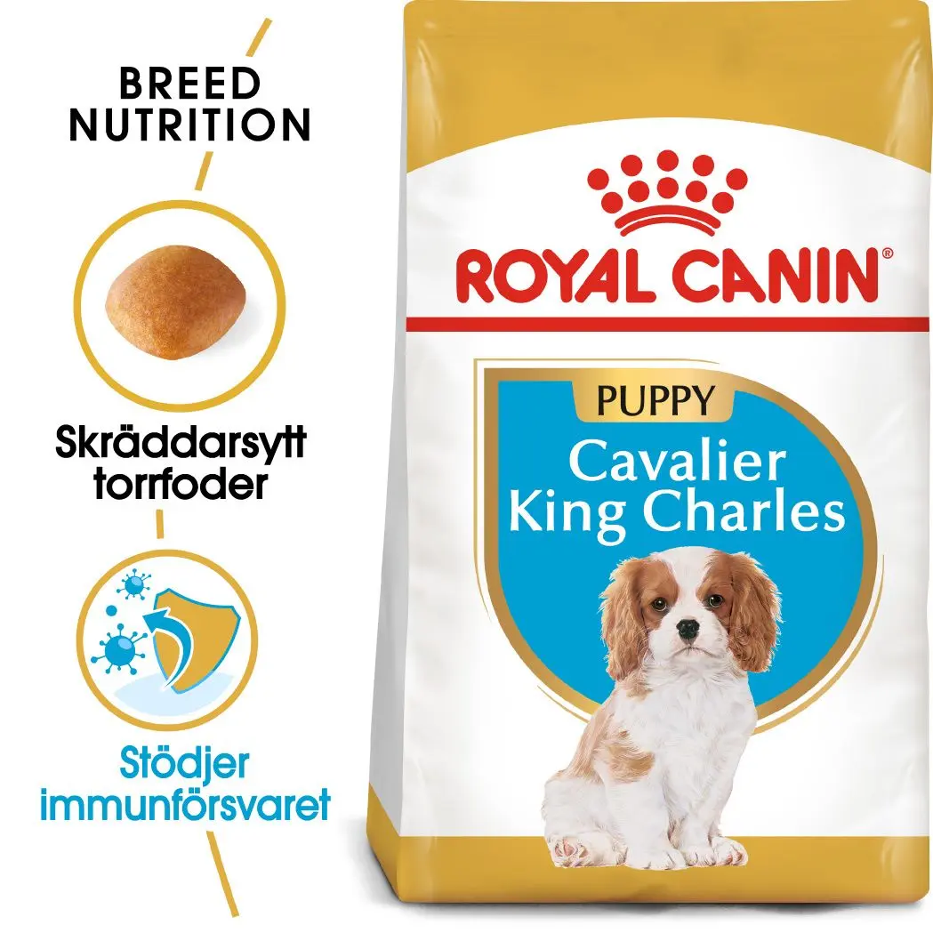 Cavalier King Charles Puppy Kuivaruoka pennuille