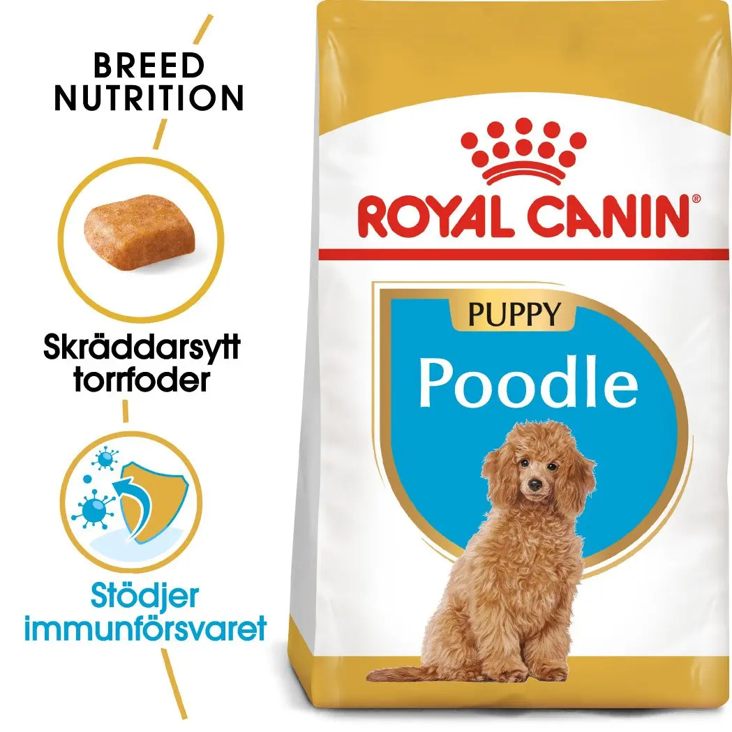 Poodle Puppy Kuivaruoka pennuille 3 kg