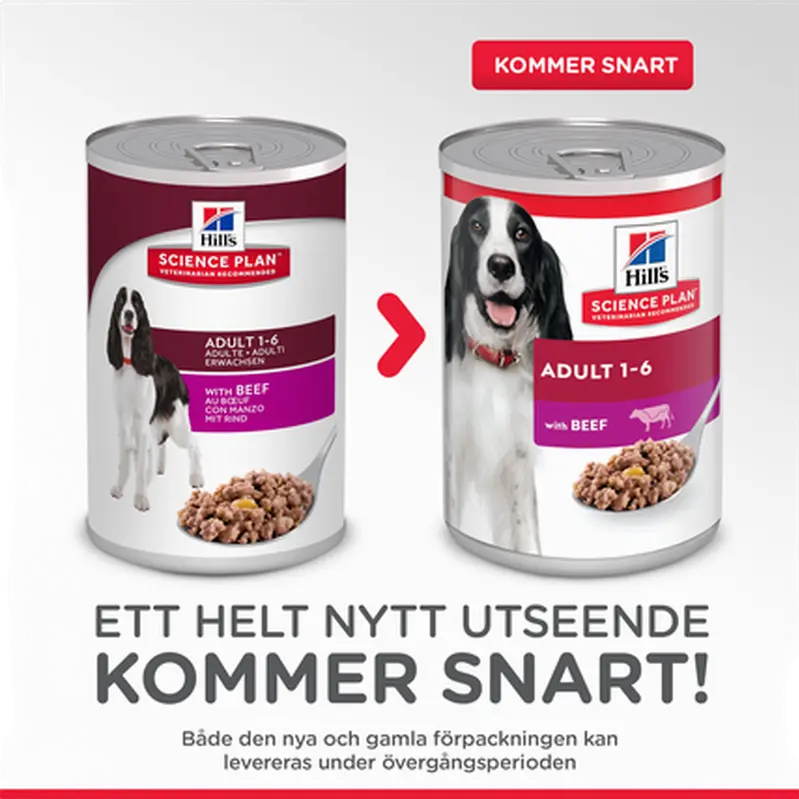 Adult Delicious Beef Canned - Wet Dog Food