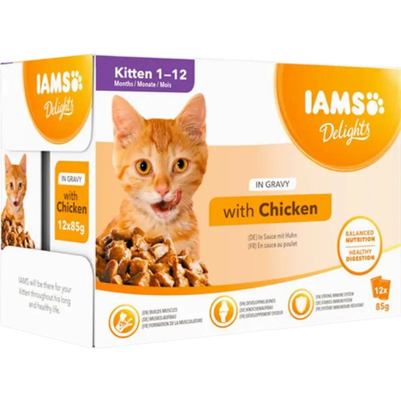 Delights Multipack Kitten Gravy