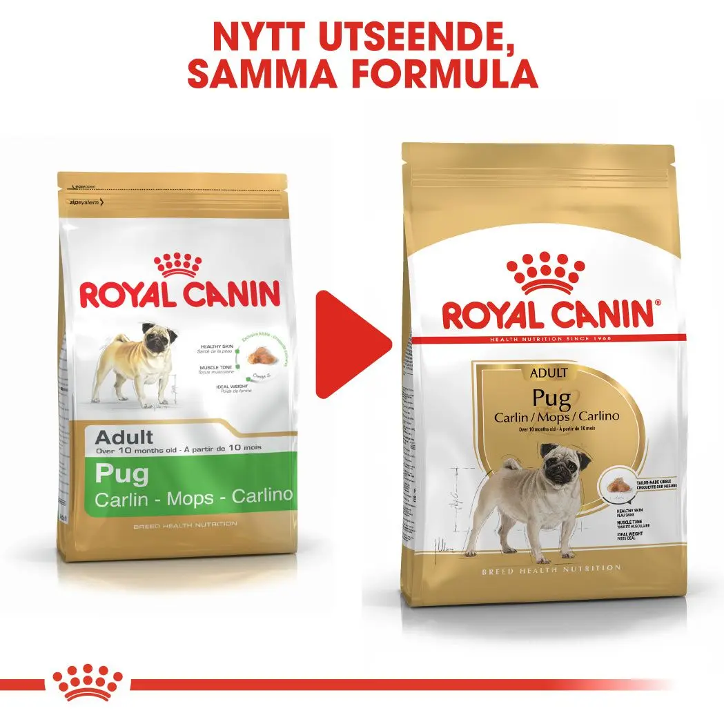 Pug Adult Torrfoder för hund