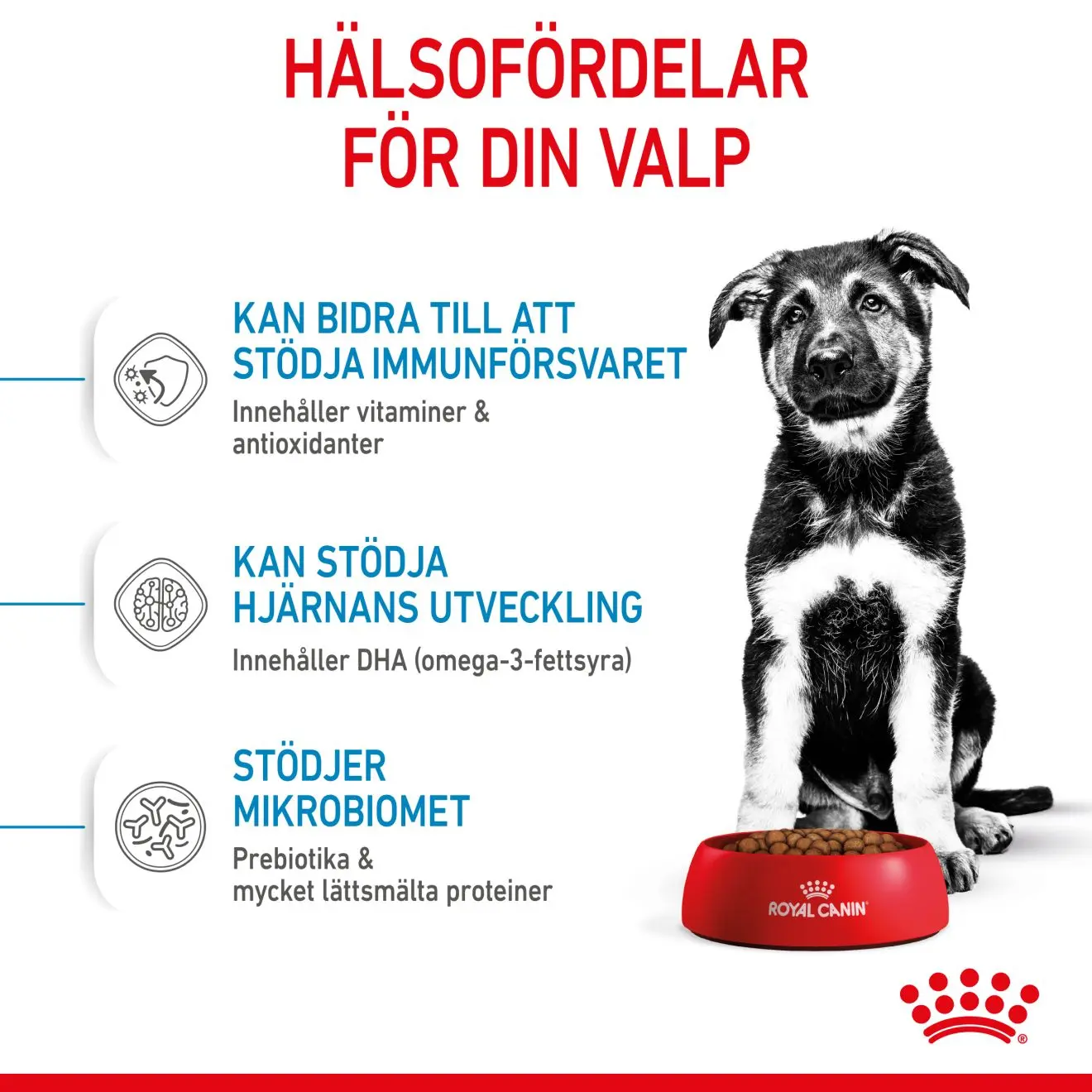 Maxi Puppy Kuivaruoka pennuille