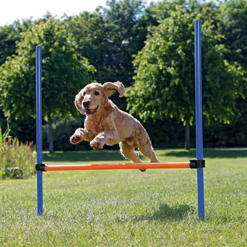 Dog Activity Agility Hurdle Blue 123 x 115 cm