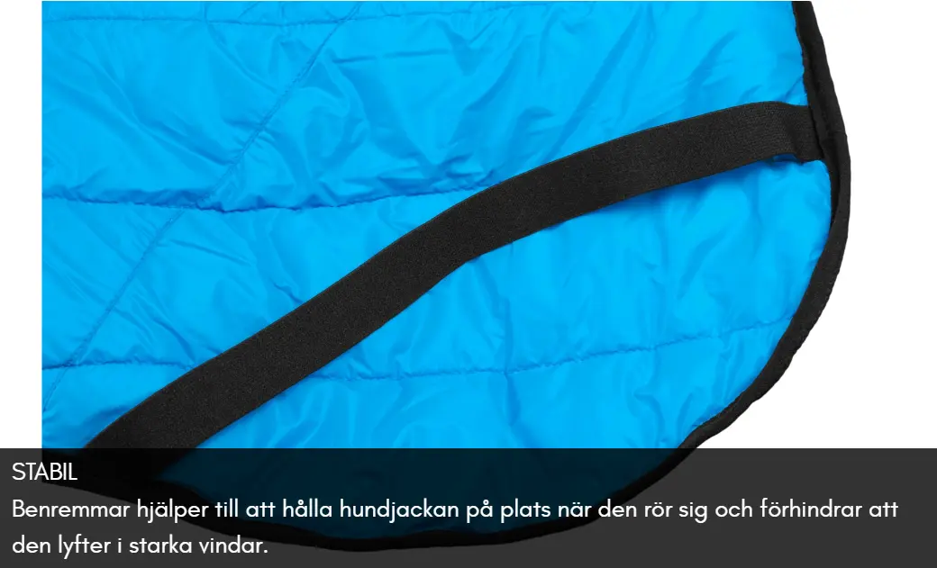 Glacier jacket 2.0 Teal