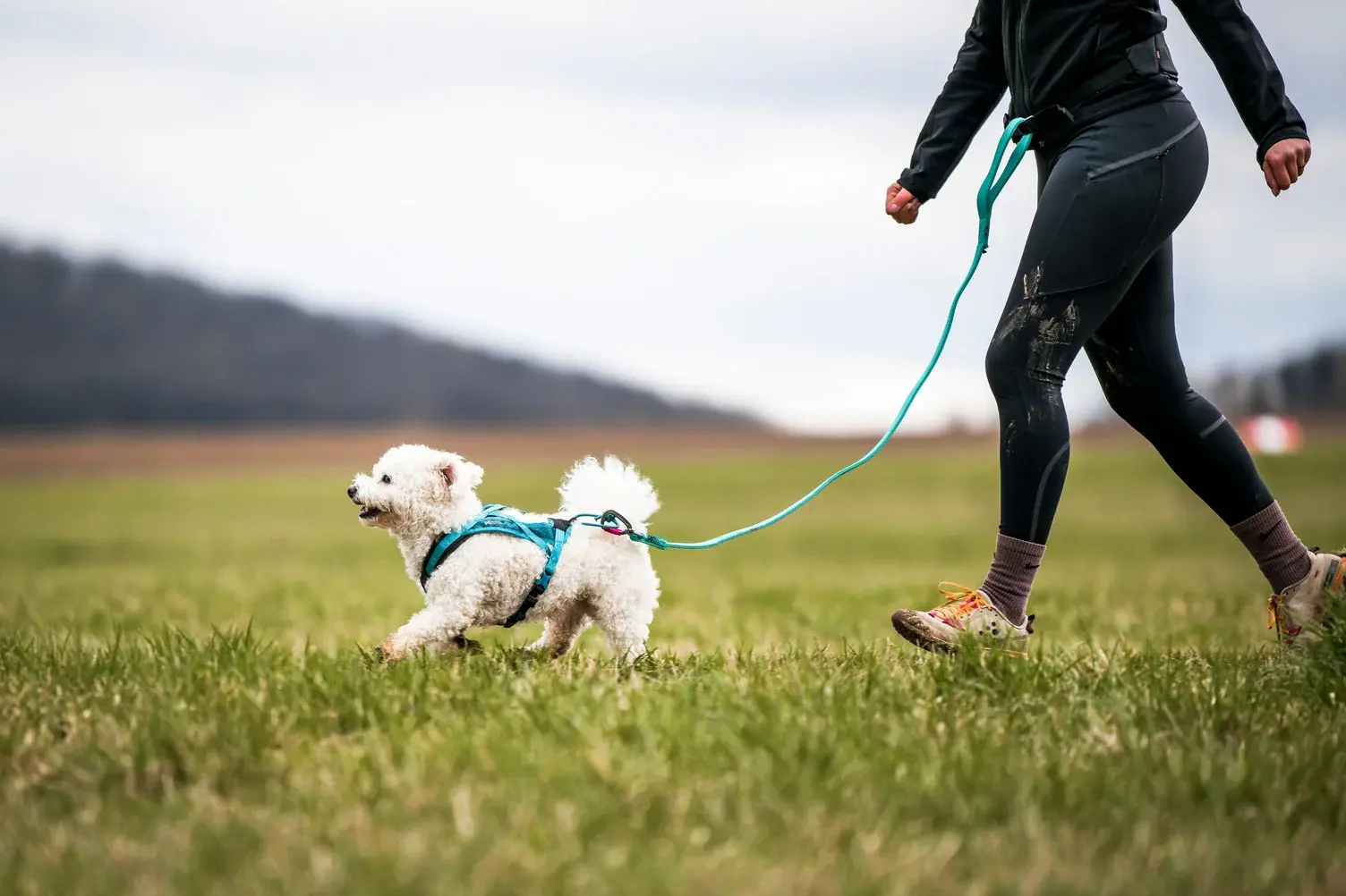 Non-stop dogwear Rush harness – trænings- og trækkesele til hunde