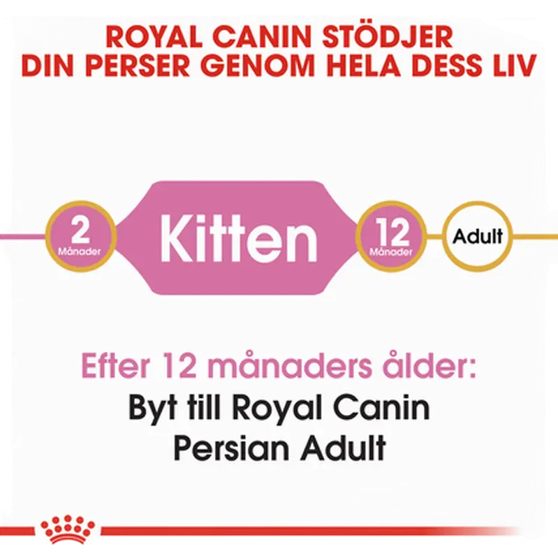 Persian Kitten kissanpennun kuivaruoka
