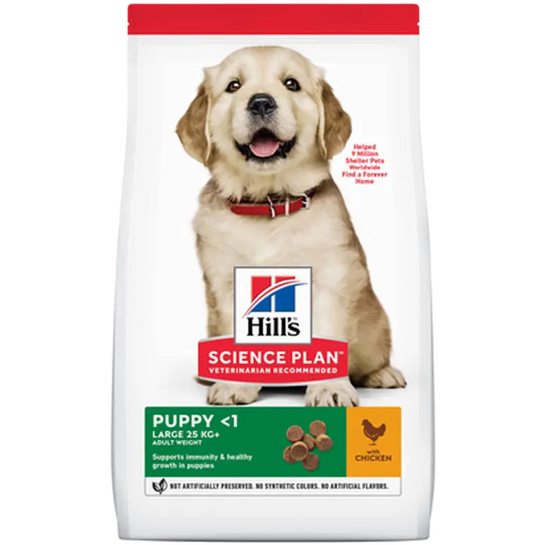 Puppy Healthy Development Large Breed Chicken - Kuivaruoka isojen rotujen pennuille 12 kg