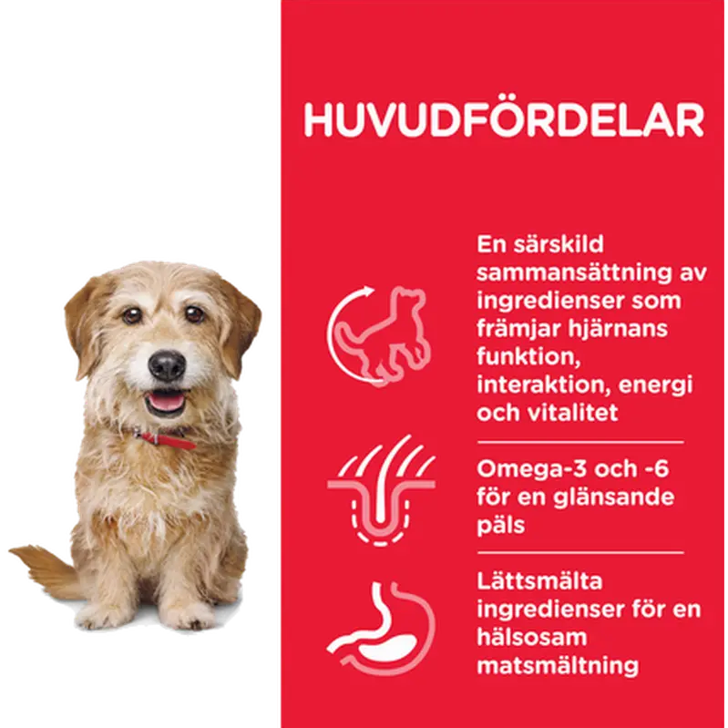 Hill's Science Plan Mature 11+ Small & Mini Kylling - Tørfoder til Hund