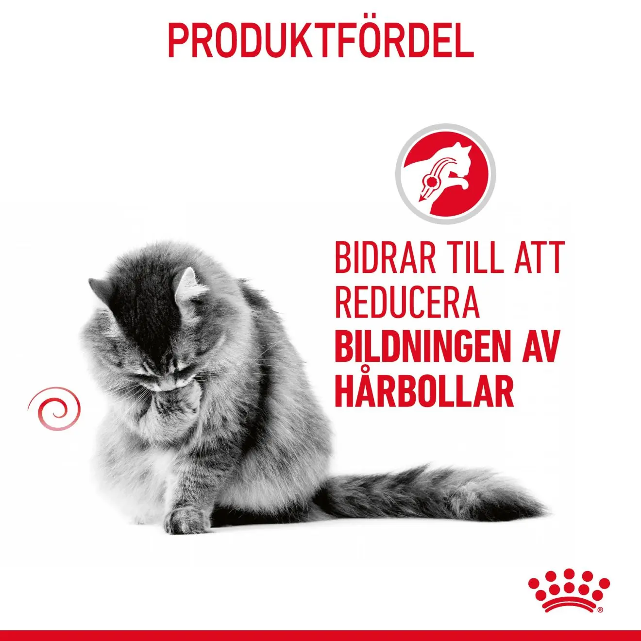 FCN Hairball Care Gravy Adult kissan märkäruoka