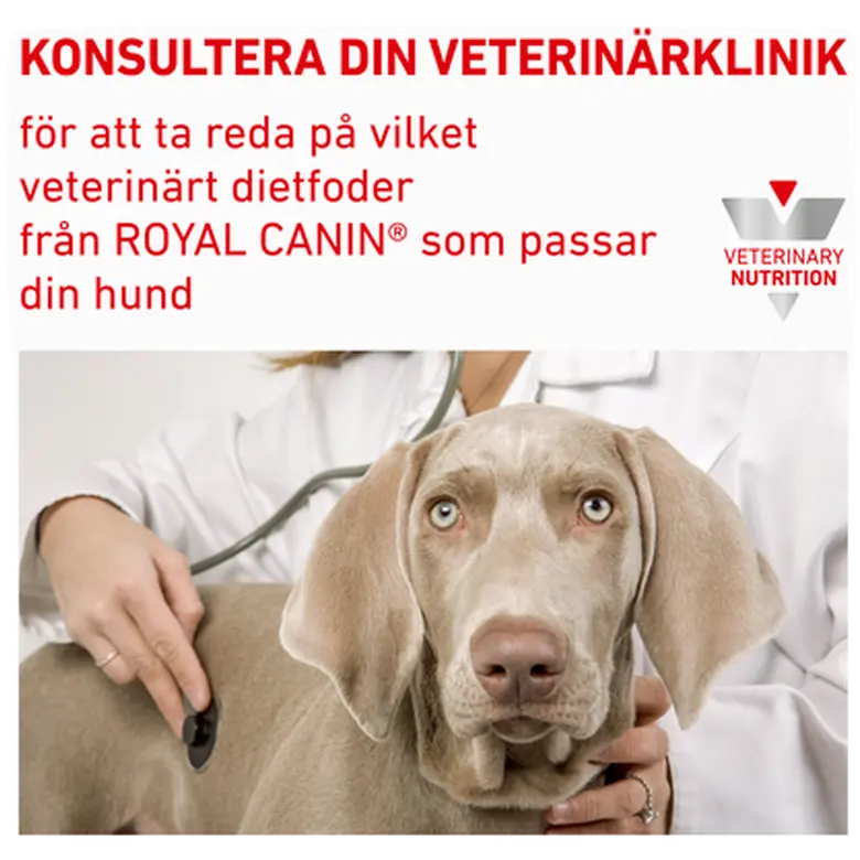 Urinary S/O Kohtalaisen kalorinen kuivaruoka koirille