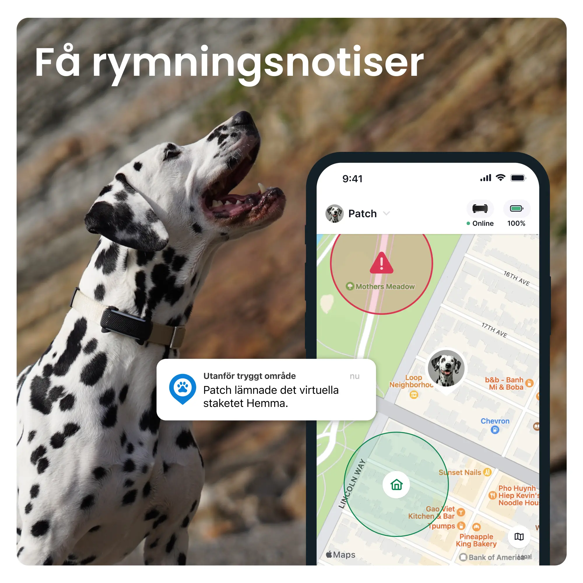 GPS-paikannin koiralle Koira 6 - Musta