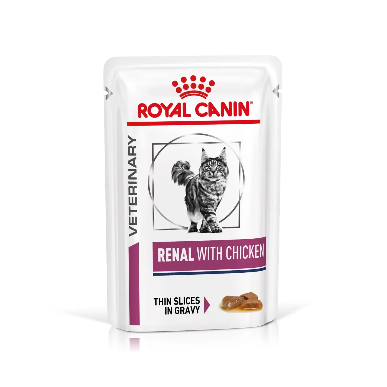 Renal kissan märkäruoka