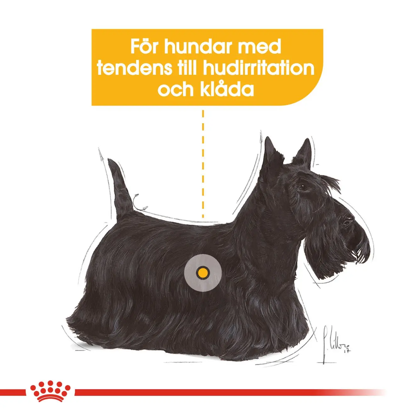 Dermacomfort Wet Märkäruoka koirille