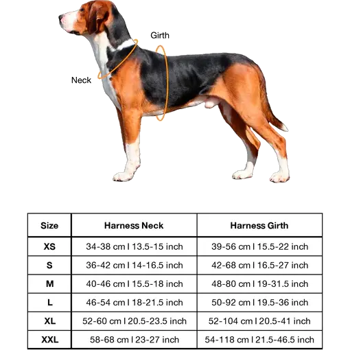 Visibility Harness Pink