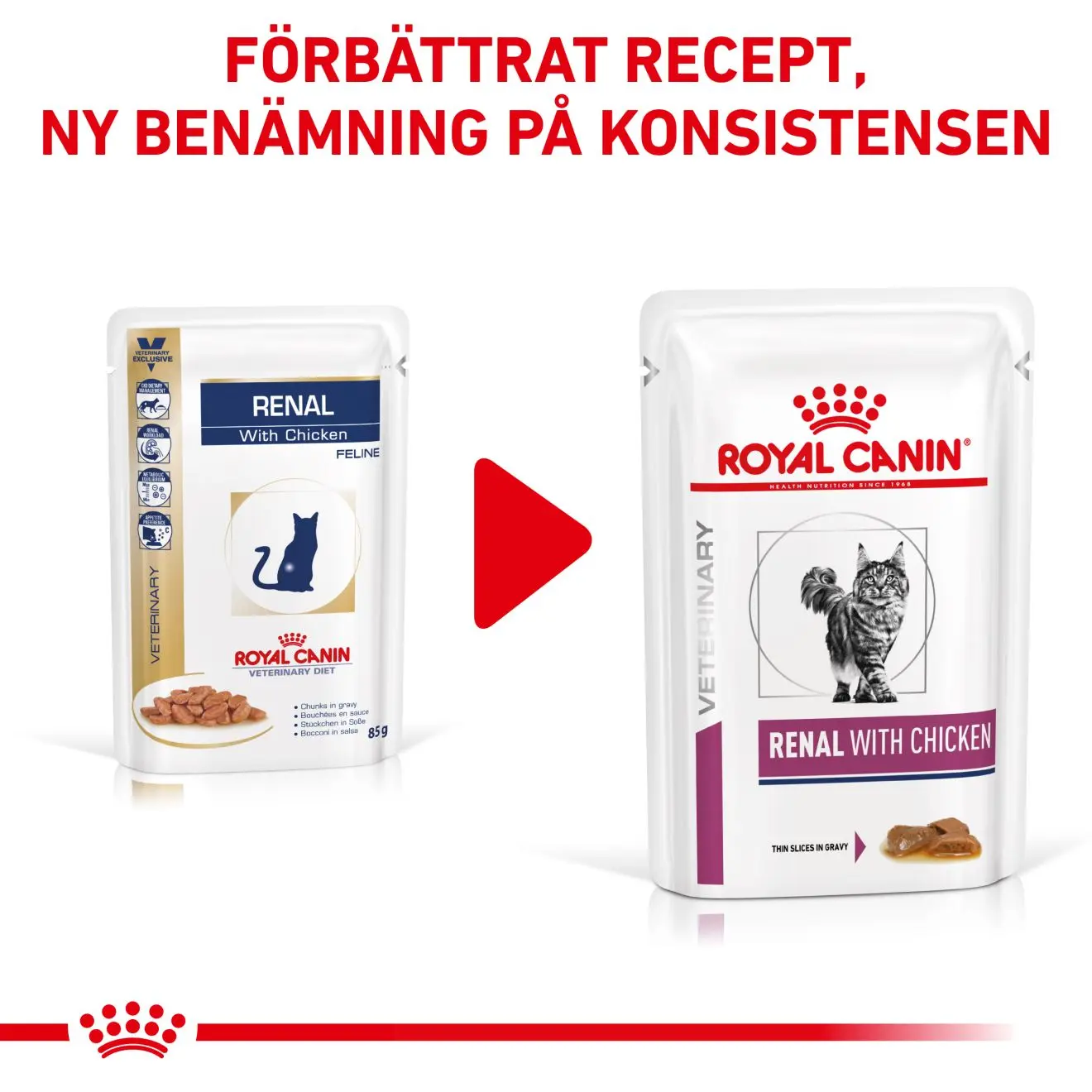 Renal kissan märkäruoka