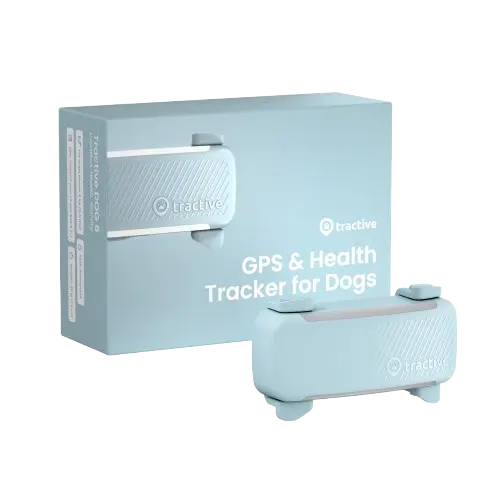 GPS-paikannin koiralle Koira 6 - Minttu