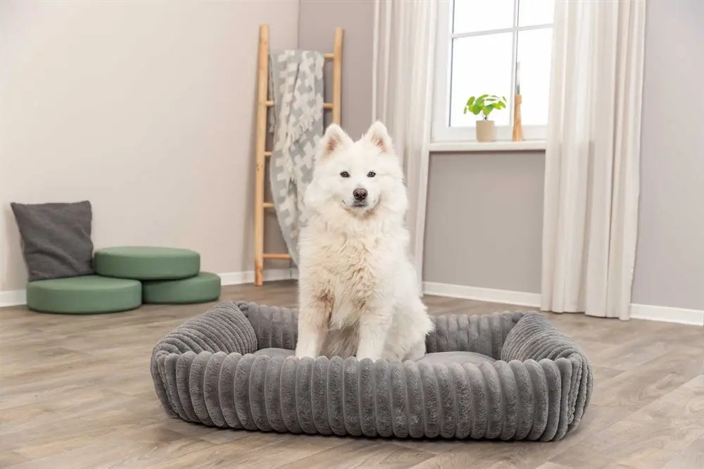 Lonni Bed Manchester Plush suorakulmainen harmaa