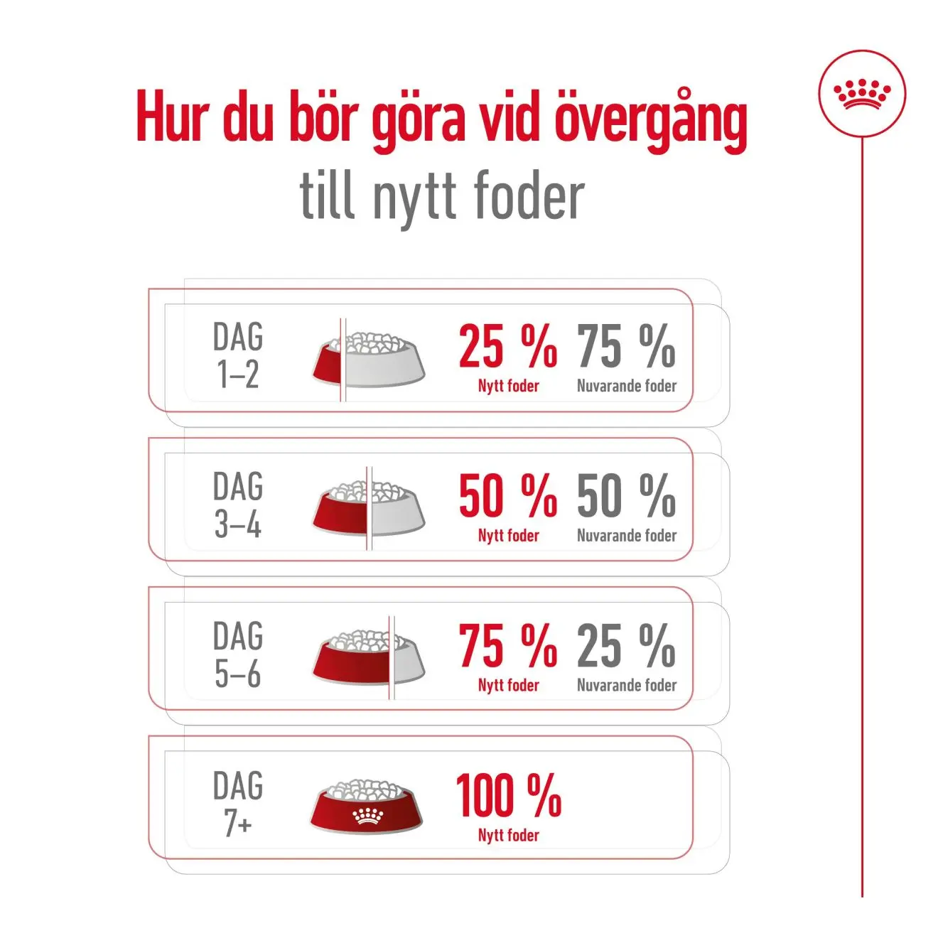 Maxi Adult kuivaruoka aikuisille suurille koirille