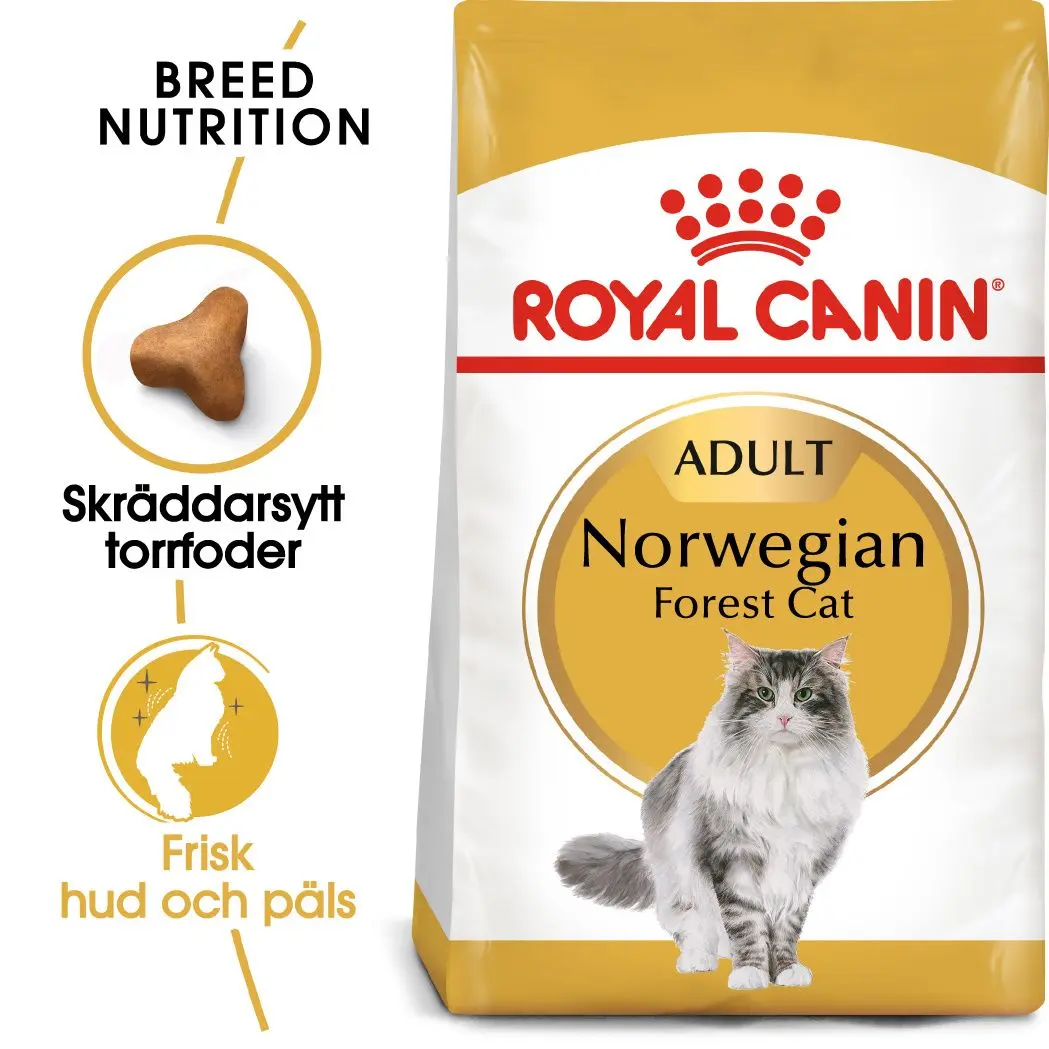 Norwegian Forest Adult kissan kuivaruoka