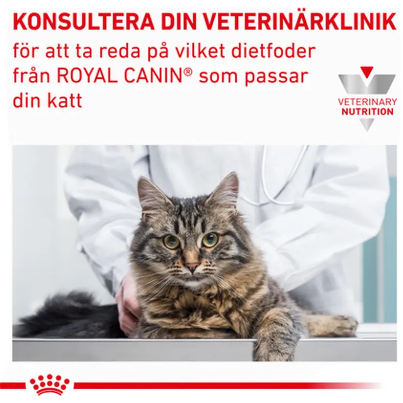 Gastro Intestinal Thin Slices In Gravy kissan märkäruoka