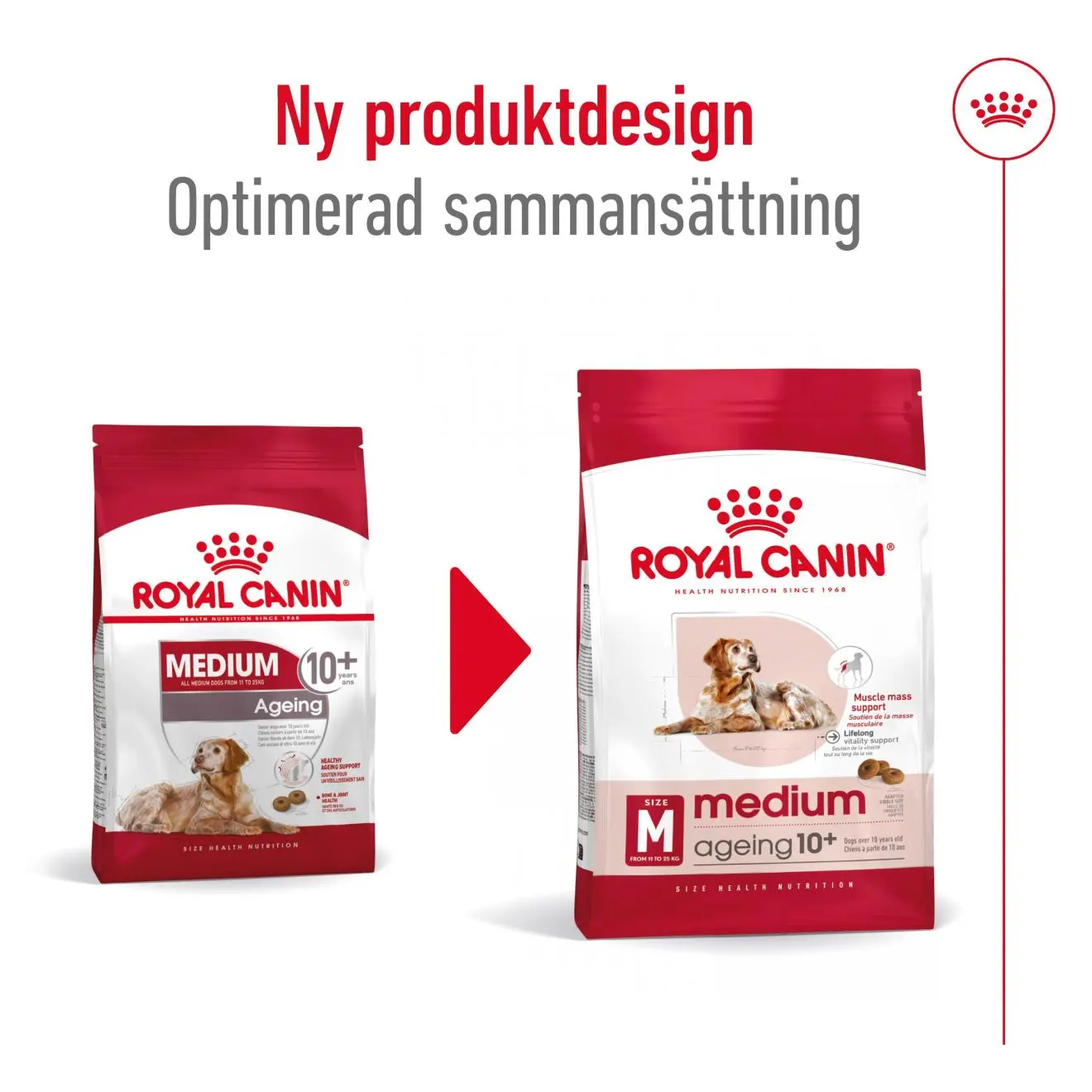 Keski-ikäinen 10+ ikäinen Kuivaruoka koirille