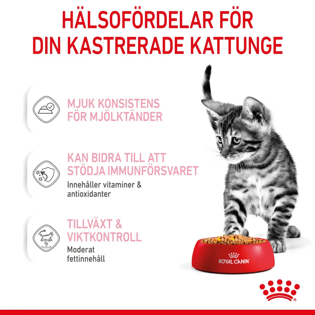 Kitten Sterilised Hyytelö Märkäruoka Kissanpennulle