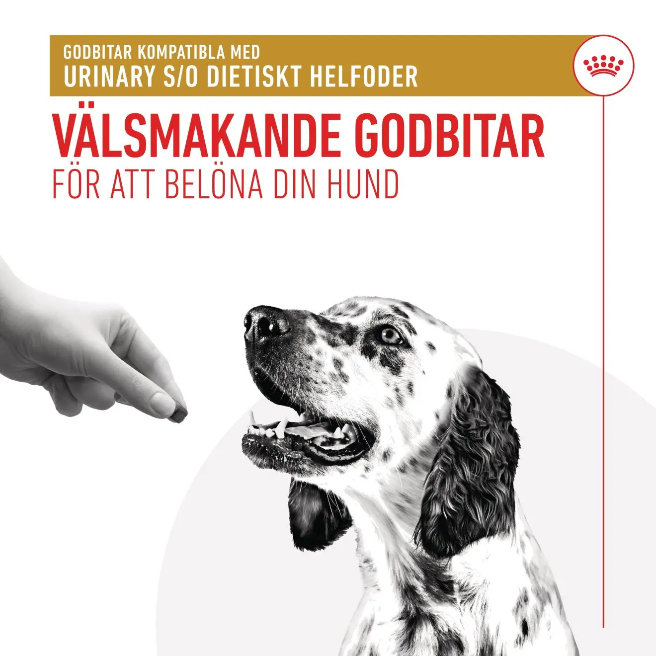 Royal Canin Veterinary Urinary S/O Treats til voksne hunde