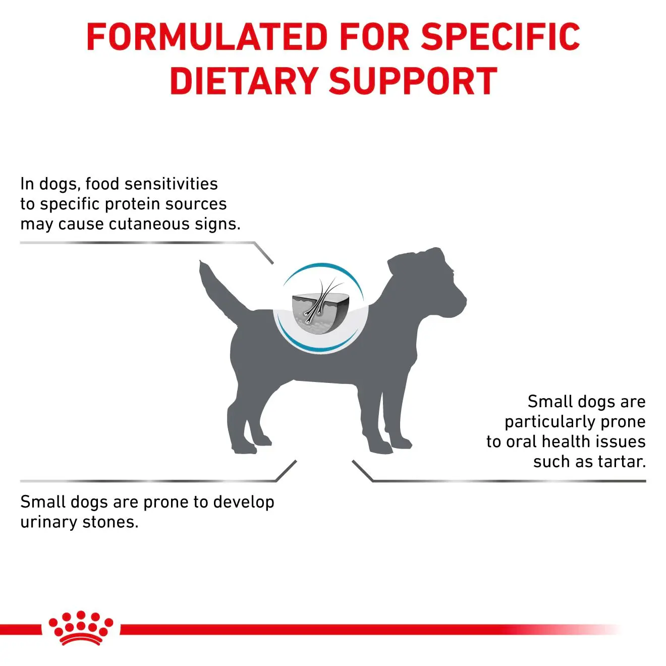 Derma Hypoallergenic Small Dog kuivaruoka koirille