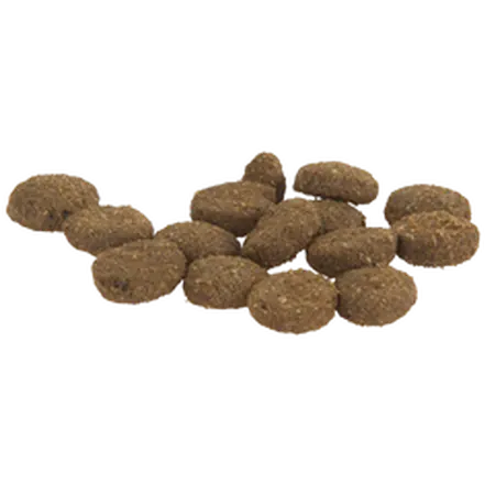 Dental Bites Medium-Large Dog