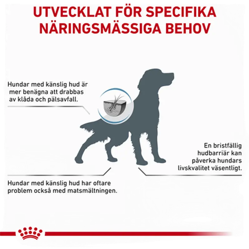 Derma Skin Care kuivaruoka koirille