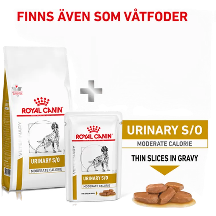 Urinary S/O Kohtalaisen kalorinen kuivaruoka koirille