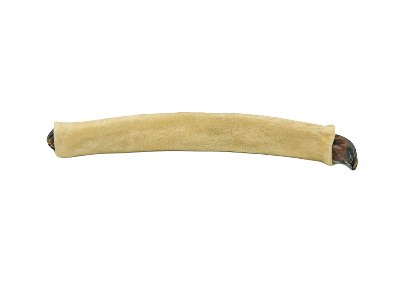 Elgkule