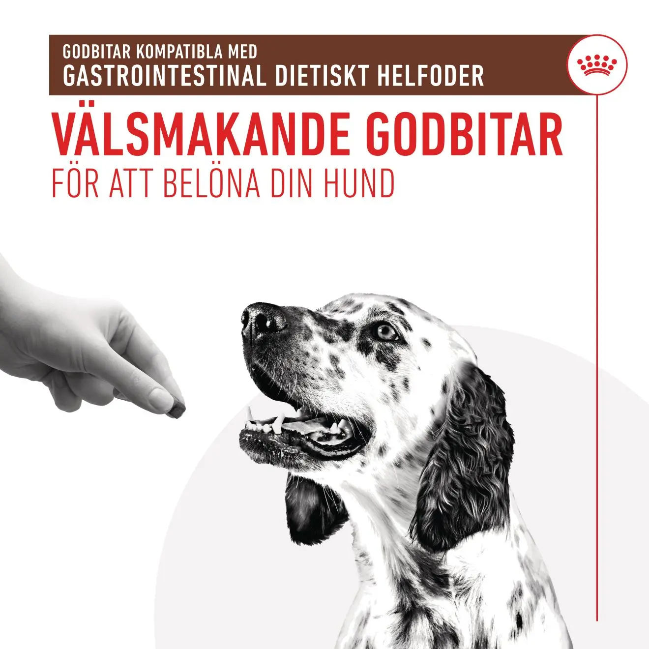 Royal Canin Veterinary Gastrointestinal Treats – godbidder til hund