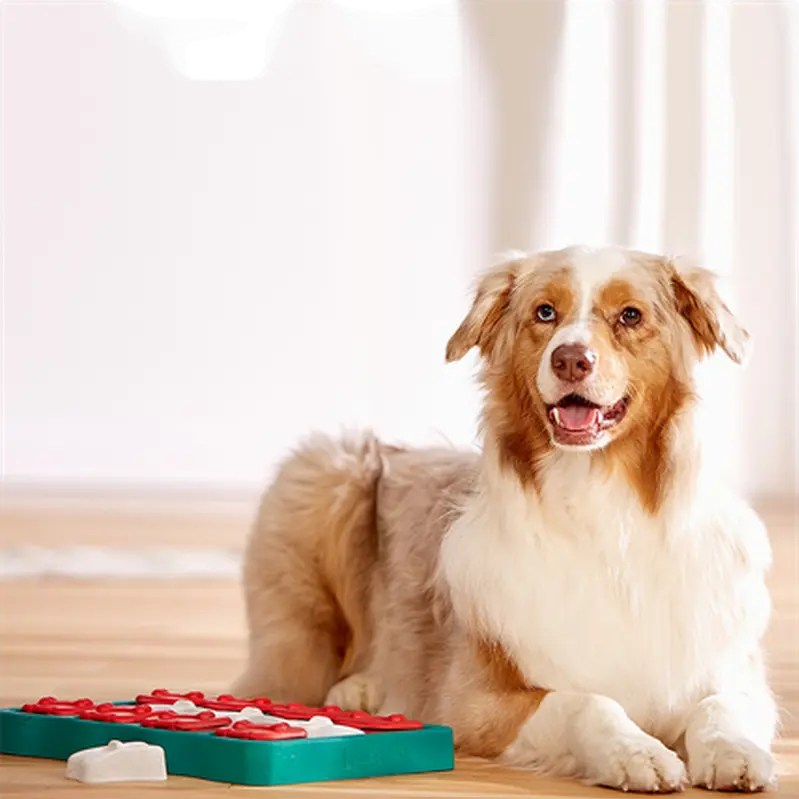 Dog Brick, Level 2 (Intermediate)