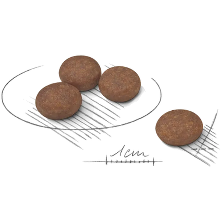 Digestive Care Adult Mini kuivaruoka koirille