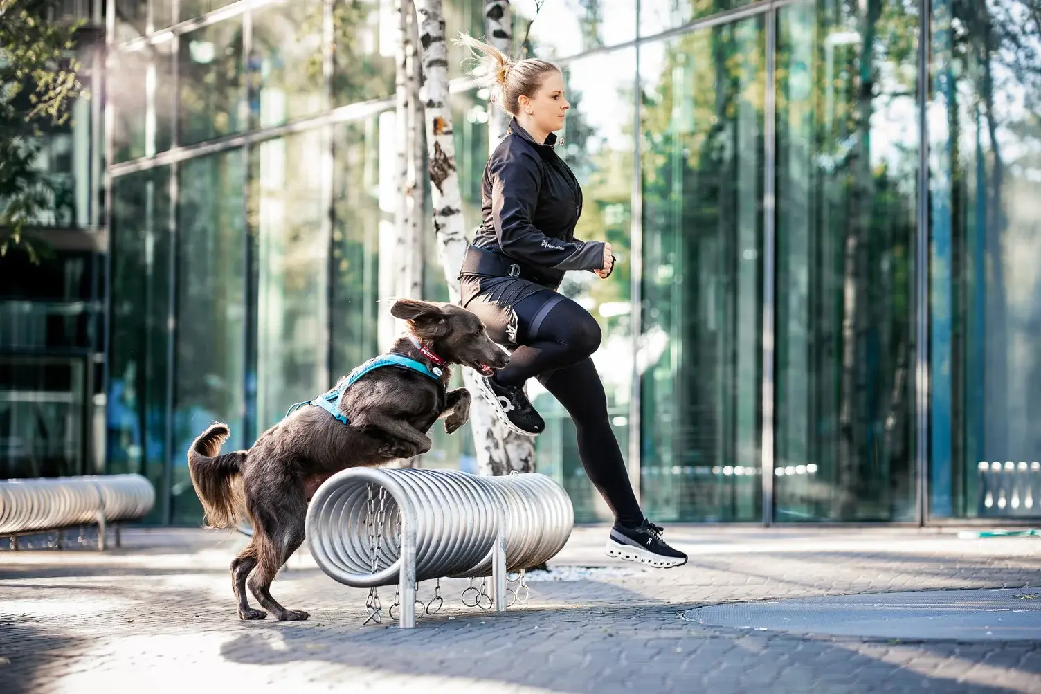 Non-stop dogwear Rush harness – trænings- og trækkesele til hunde