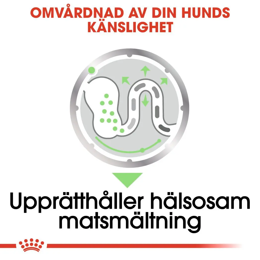 Wet Digestive Care Märkäruoka koirille