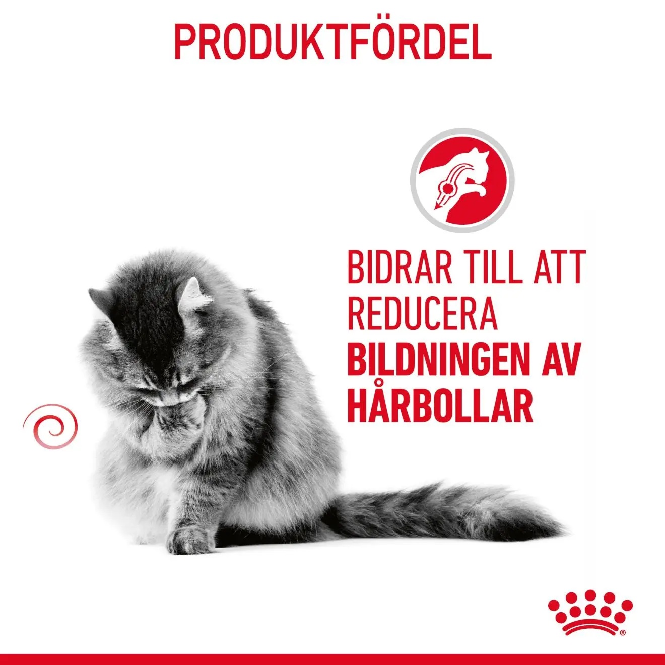 Hairball Care Adult kissan kuivaruoka