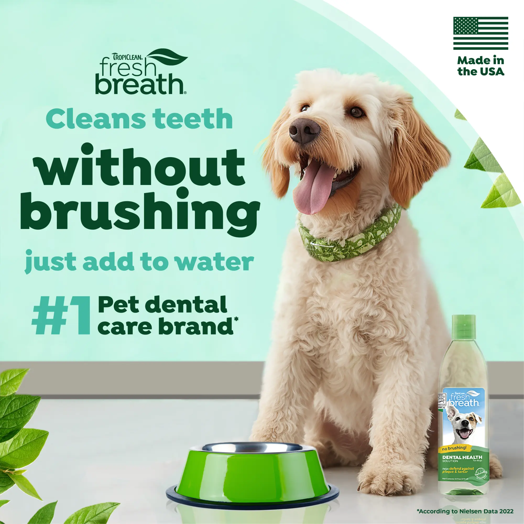 Fresh Breath Dental Health Solution