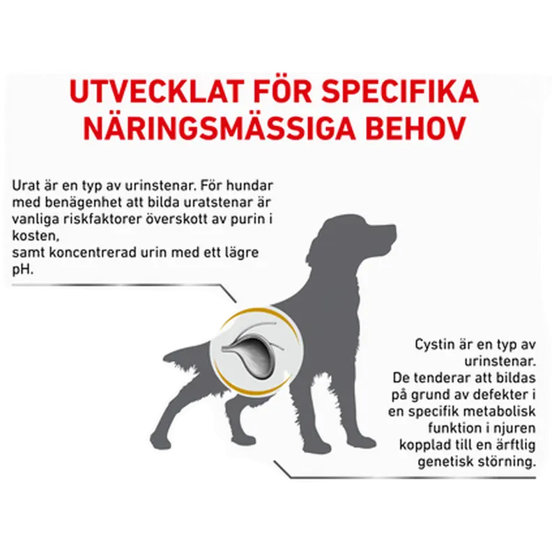 Urinary U/C Low Purine Kuivaruoka koirille