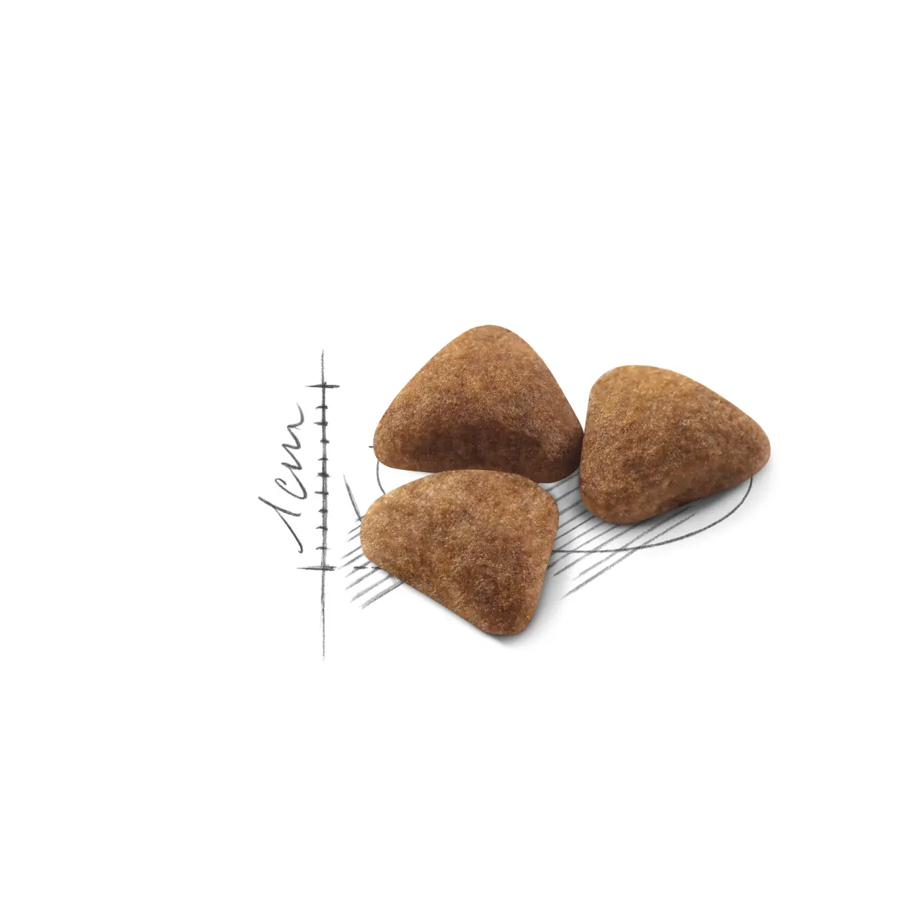 Indoor Adult Cat dry food