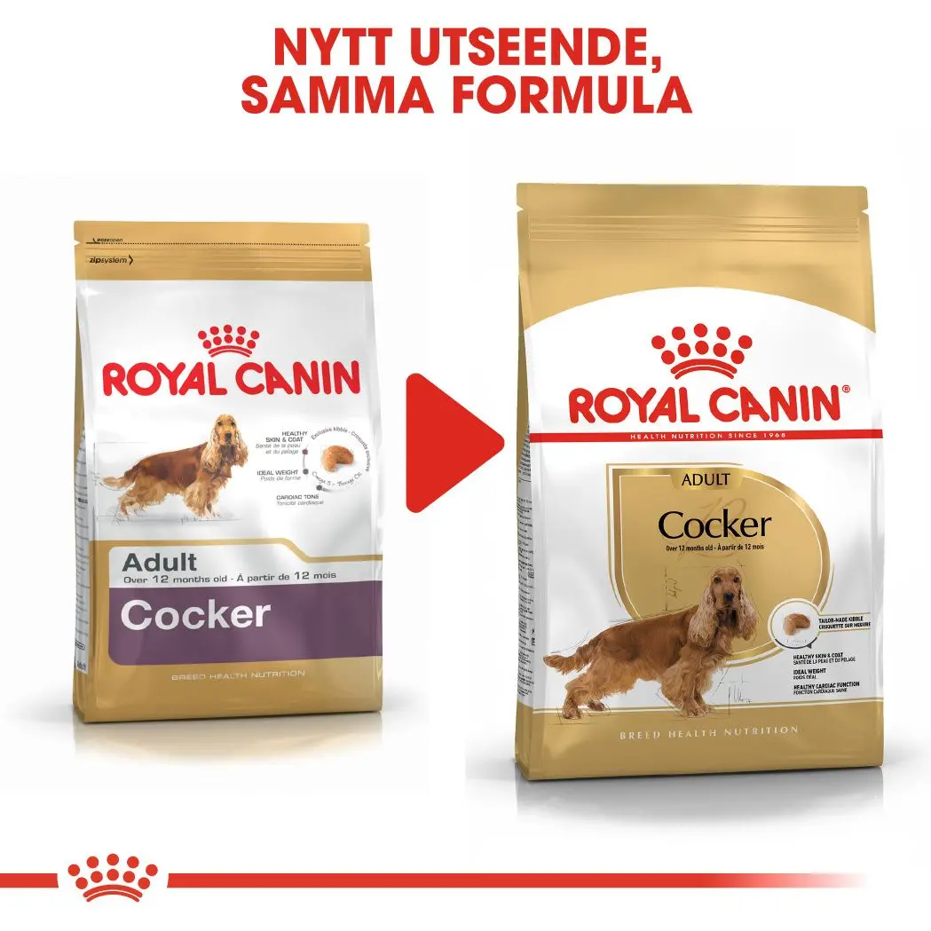 Cocker Spaniel Adult Dry food koirille
