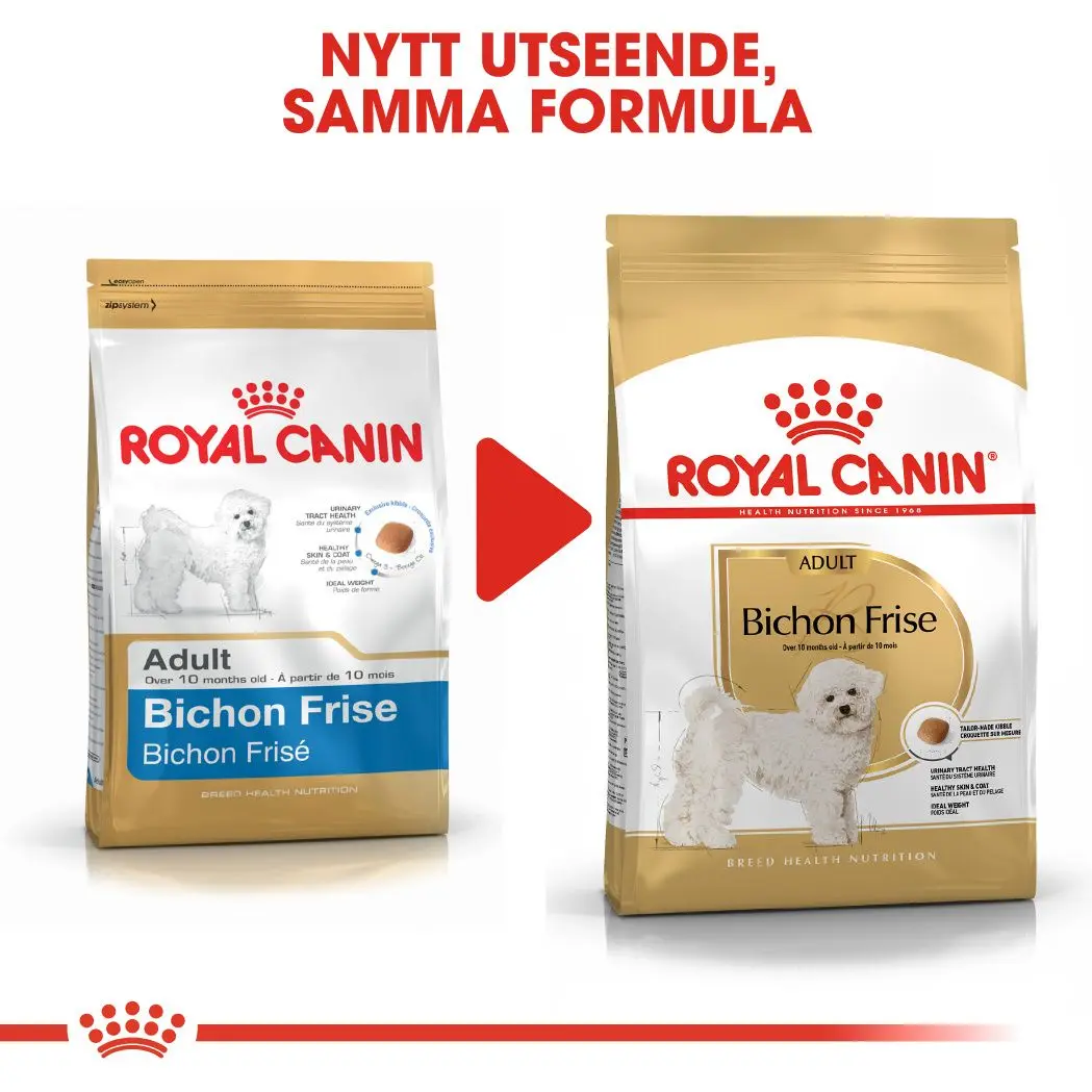 Bichon Frisé Adult Kuivaruoka koirille