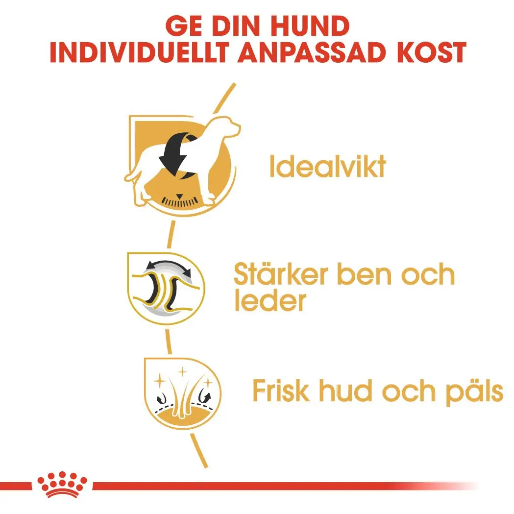 Labradorinnoutaja Aikuisten kuivaruoka koirille