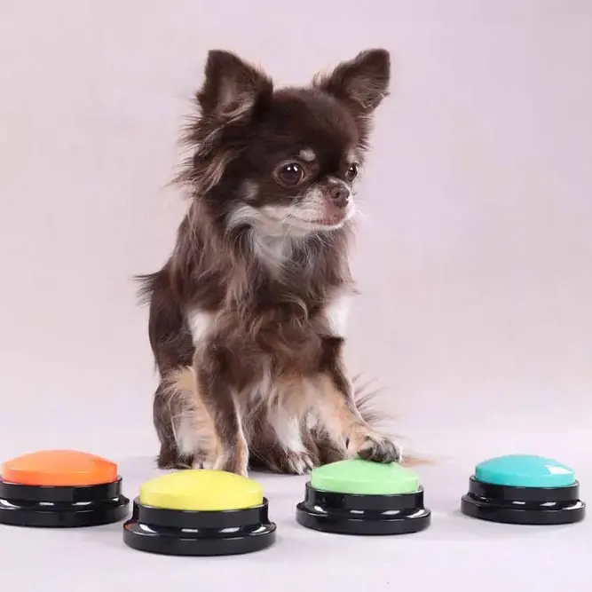 Flamingo Optagelig knap til hund – aktivering og kommunikation