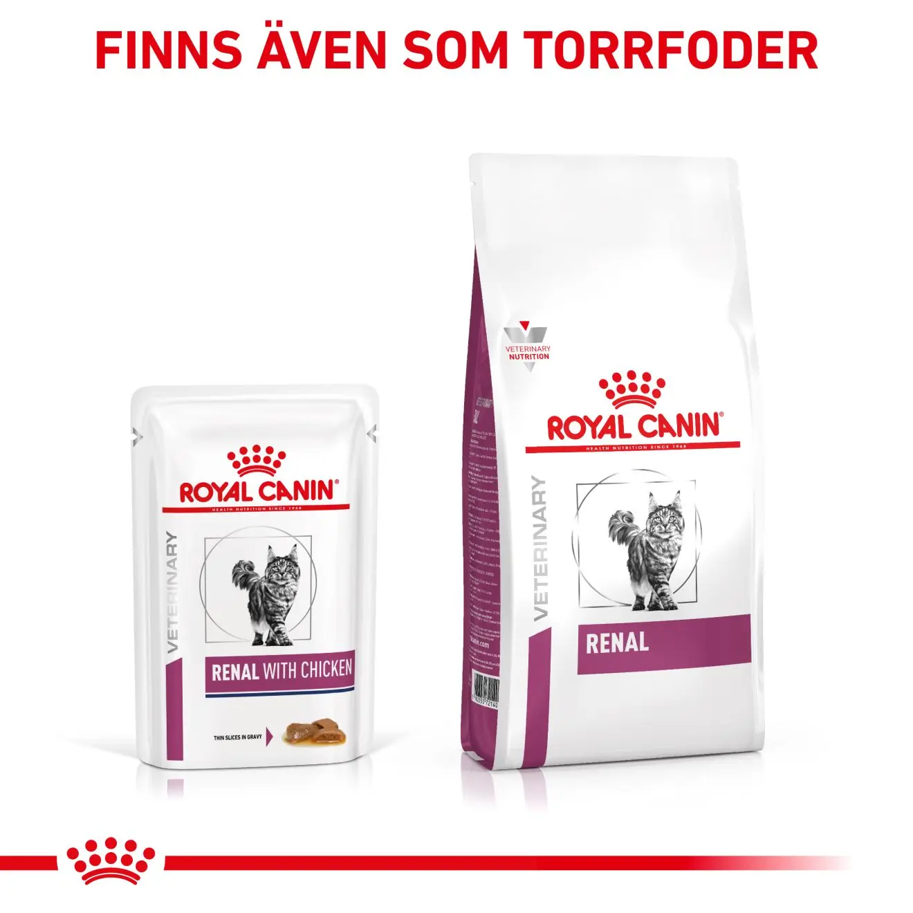 Renal kissan märkäruoka