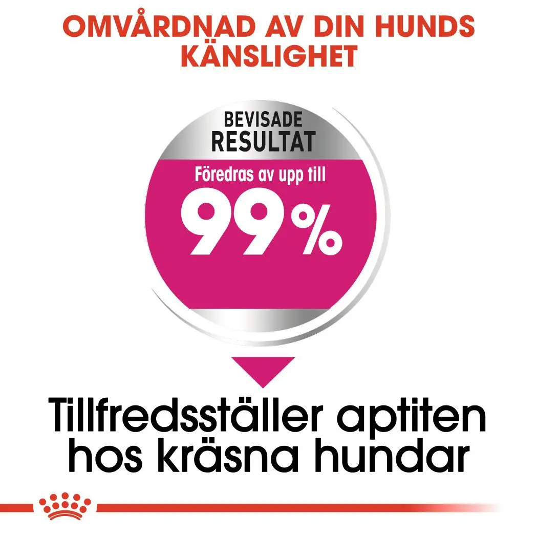 Koko Mini Exigent Kuivaruoka koirille