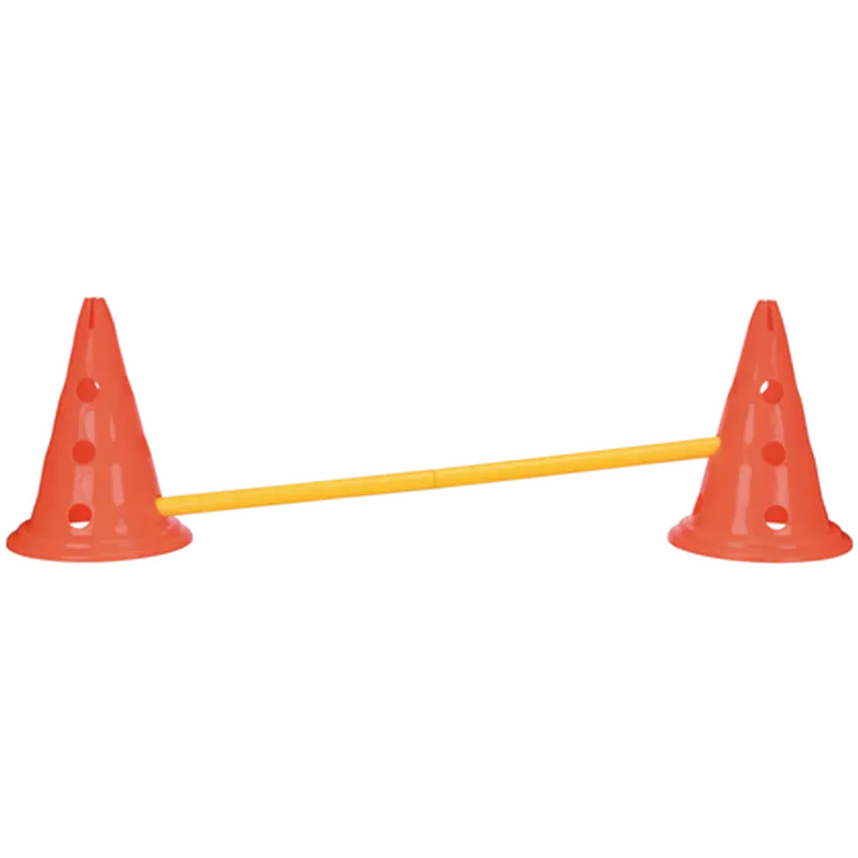 Dog Activity Obstacles set