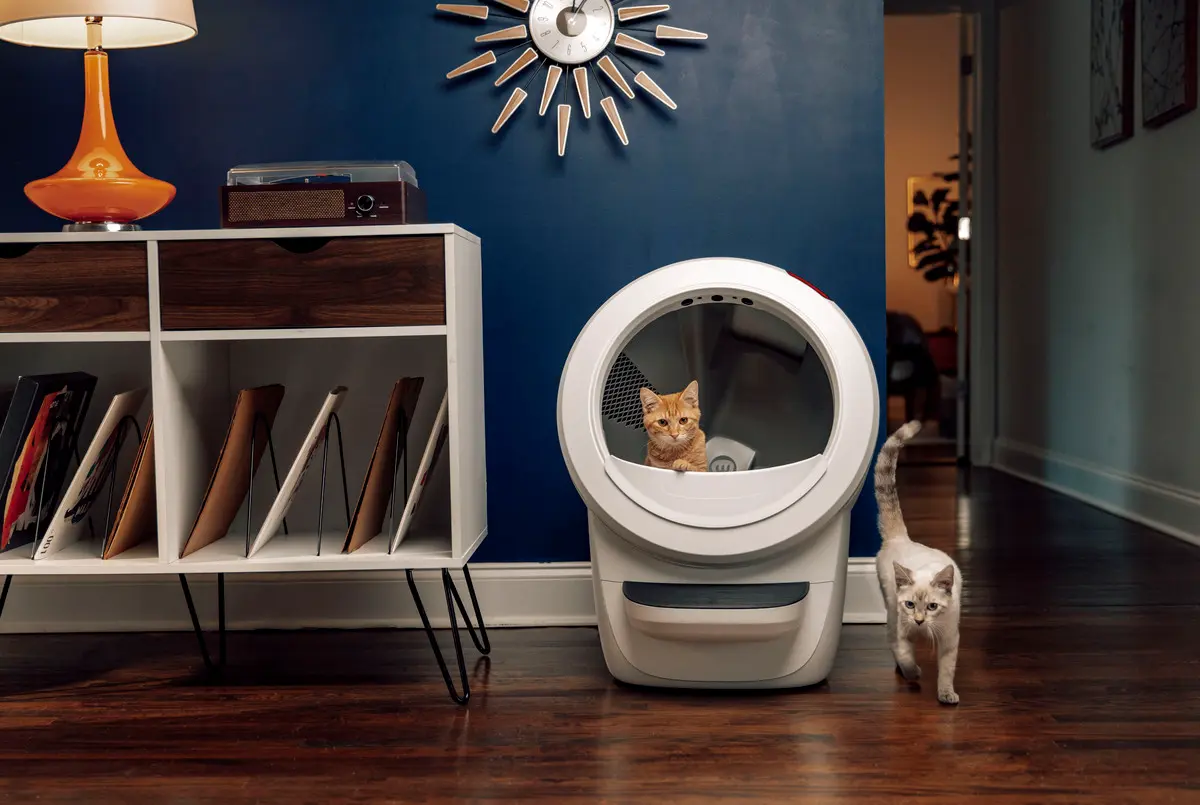 Litter-Robot 4 Självrengörande Kattlåda, vit