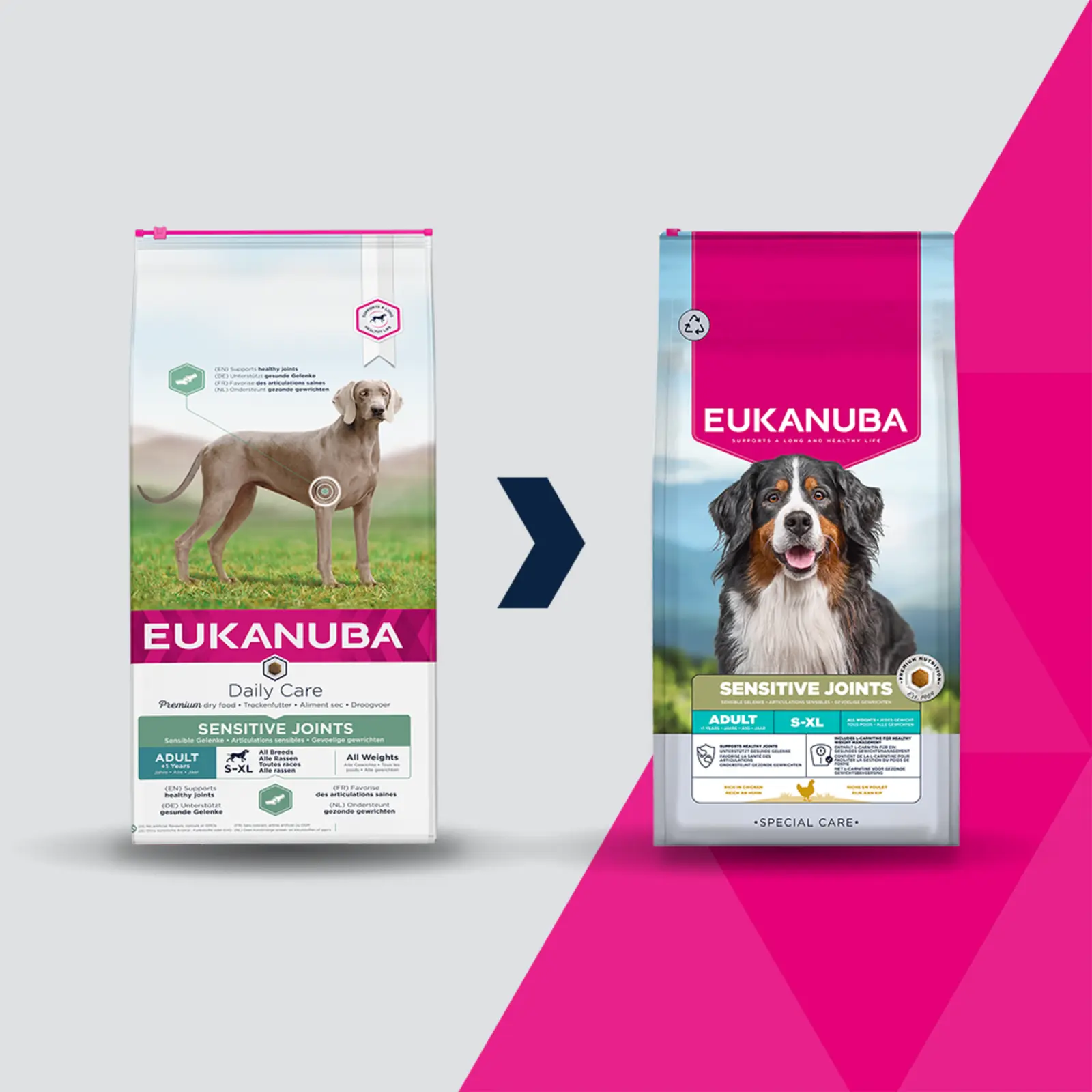 Dog Daily Care Sensitive Joints